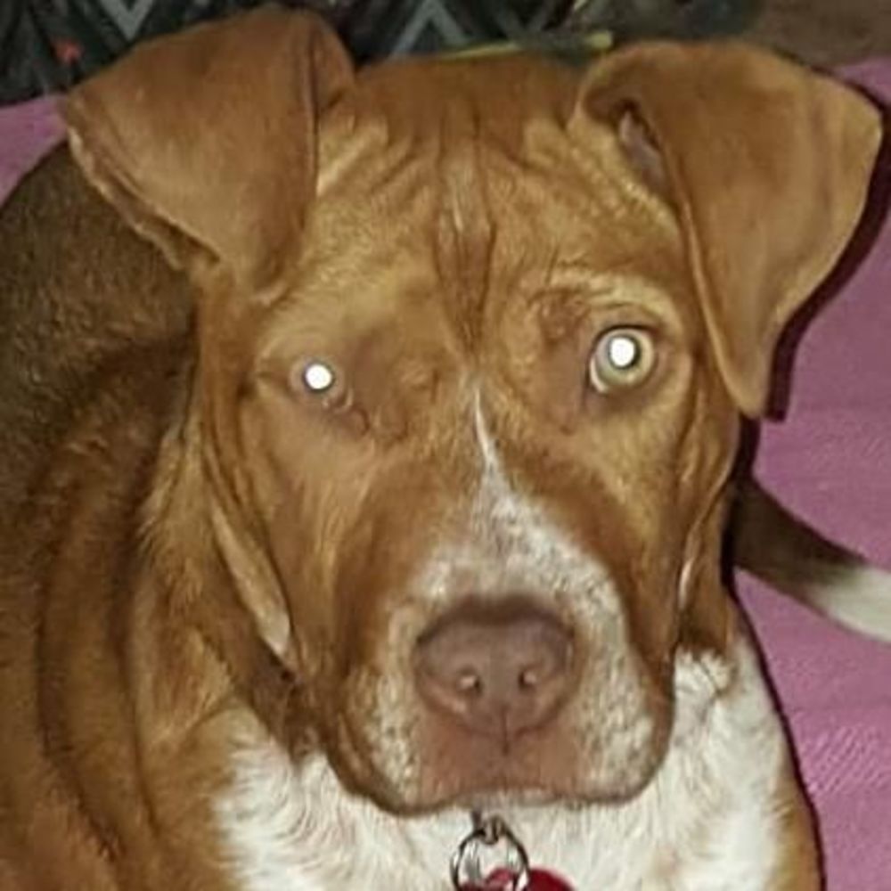 Meet your Posher, Kellie